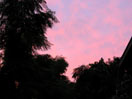 sunrise big island bed and breakfast