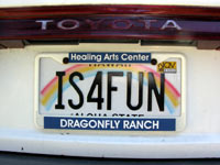 is for fun plate