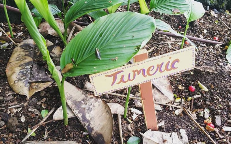 67202867_10156525897244632_215656149087682560_n