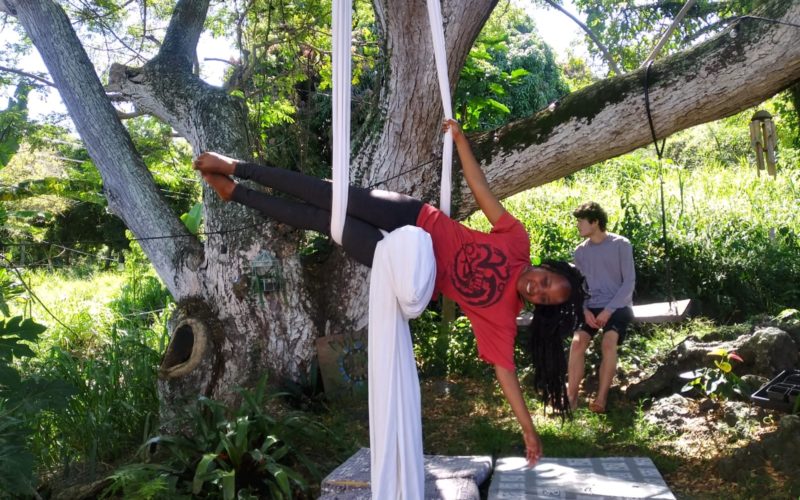 91de51ec-73d6-45b0-8681-aadf5d1c042b