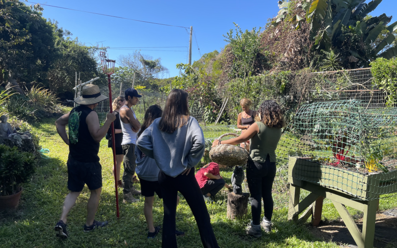 Screen Shot 2021-03-24 at 3.29.35 PM